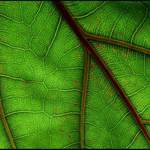 Dálnice, silnice, ulice a uličky.