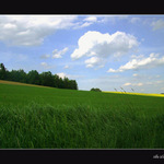 Krajina okolo Benešova