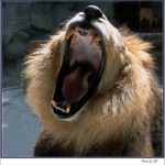 Kdo uteče, vyhraje ...