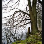 Ticho v nas (pro Ilju)