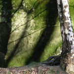 Tady jeste jedna podzimofka:)