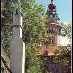 tak vysoko už asi nevyrostu...