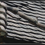 stará poctivá škridla