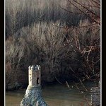 veza