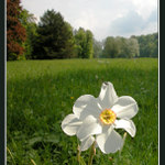 velký svět malého brouka II    ....  ;o)