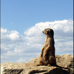 vidím město veliké...