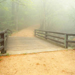 Jarní mlha v Jizerkách