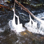 Zvonky do Ledového království