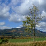 Vzpomínka na podzim 2002 v Krušných horách