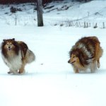 Neutíkej, stejně neutečeš :-))