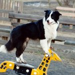 Můžu se ještě povozit?