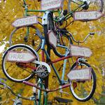 Památník velocypedisty v Liberci