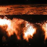 Zmoklé čarodějnice