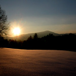 trocha šáfránu ze zimního archívu