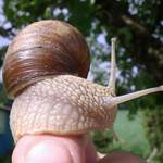 Kdo mně sem prsk, na ten prst?!?