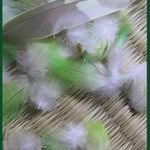 ... nic netrvá věčně