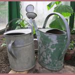 ... láska na první pohled