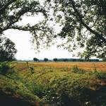 "Vesničko má, středisková..."