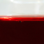 :::  FLYIN´ FLY  :::