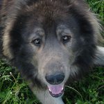 Pojď blíž....já tě (možná) nekousnu