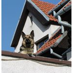 dnes som ale riadne nasrany !!!