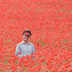 V zlatom poli slnečníc