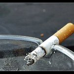 co mi to tu čmoudí pod nos ... ??