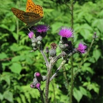 Nazvěte si to jak chcete