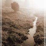 Ranni mlha v Kvildě