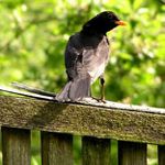 Co chces, ty s tim aparatem?