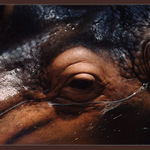 Jsem v tom až po uši :-)