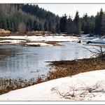 Vzpomínky na zimu II