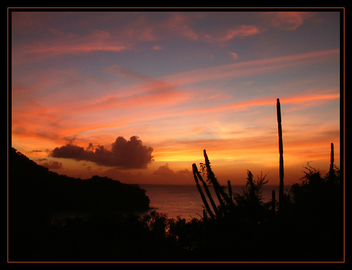 .:: Quarantine Point ::.