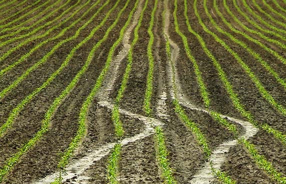 Don't drink & drive !