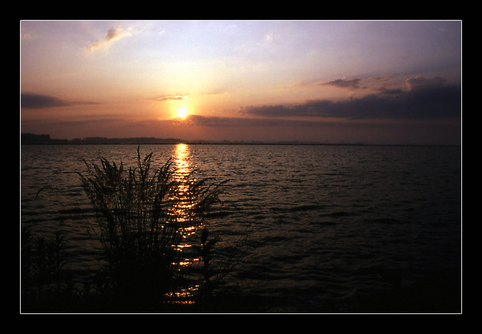 ...And A New Day Was Born...