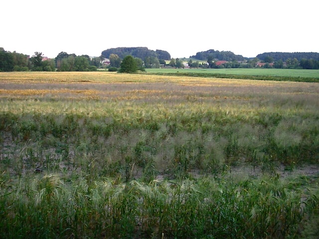 venkov