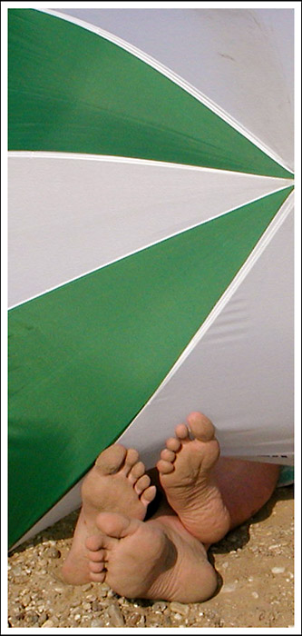 ...neparnokopytnik...