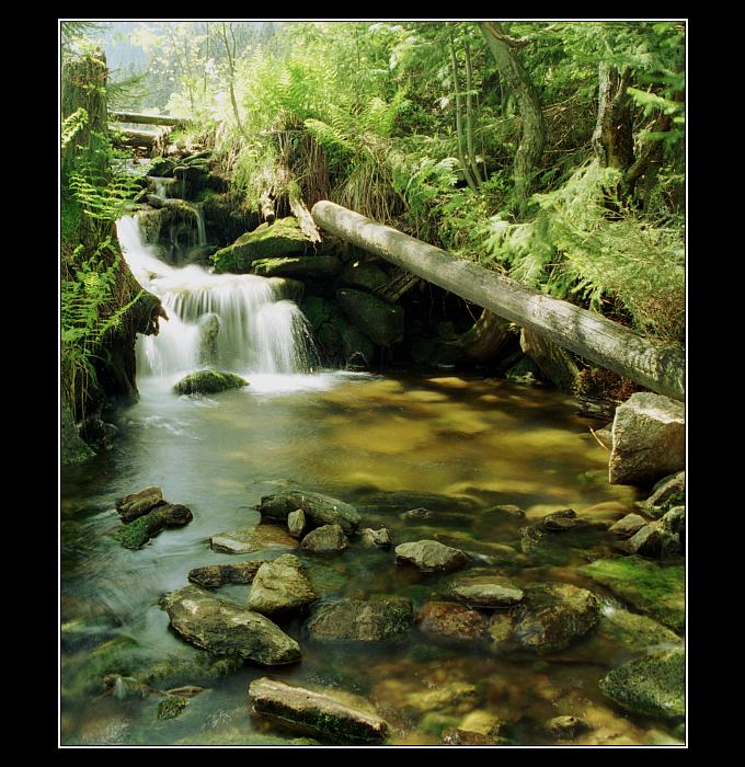 Šumava II.