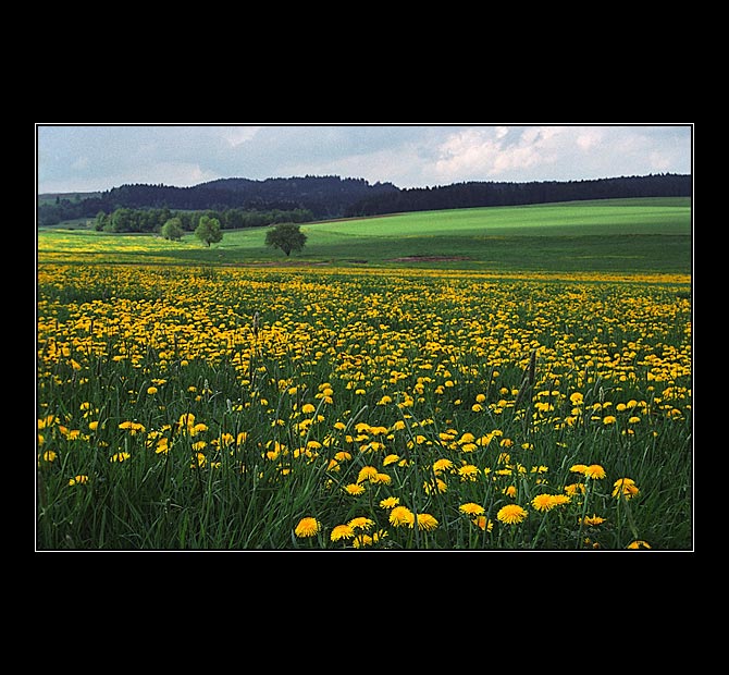 Vysočina...