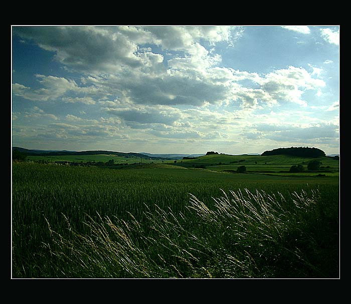 Krajina zapomnění . . .