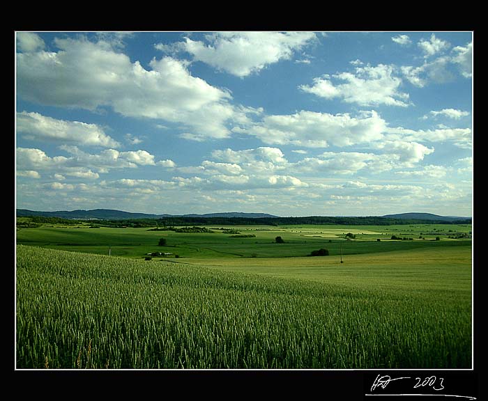 Krajina zapomnění II