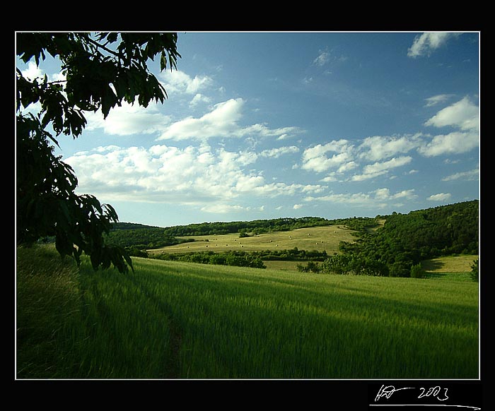 Krajina zapomnění III