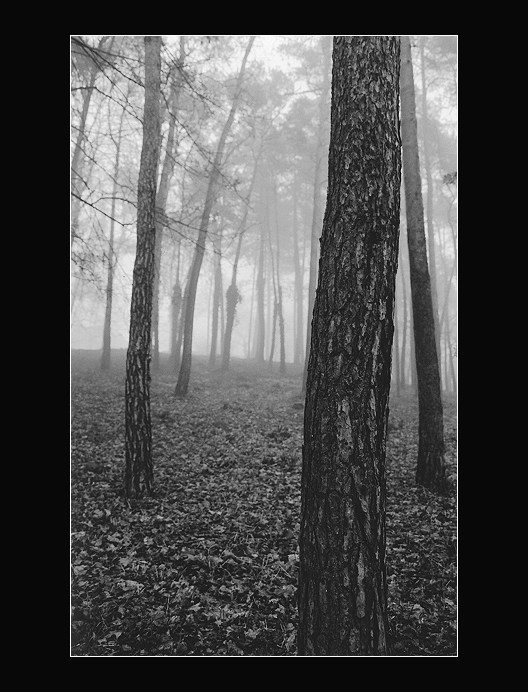 Nerovné rovnoběžky