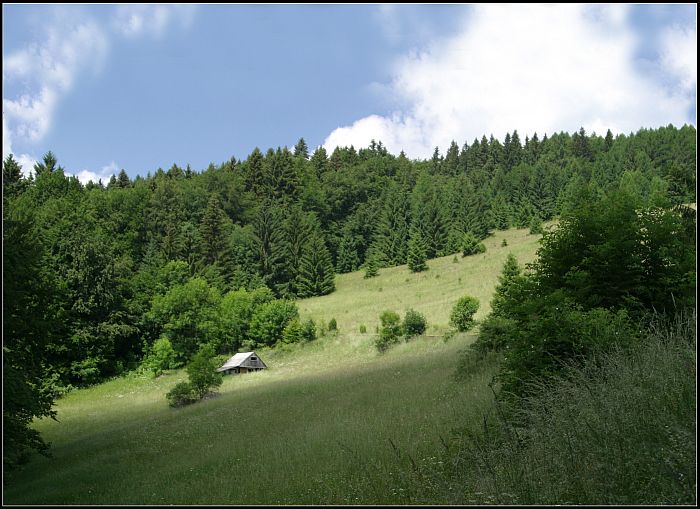 cestou na Poľanu ....