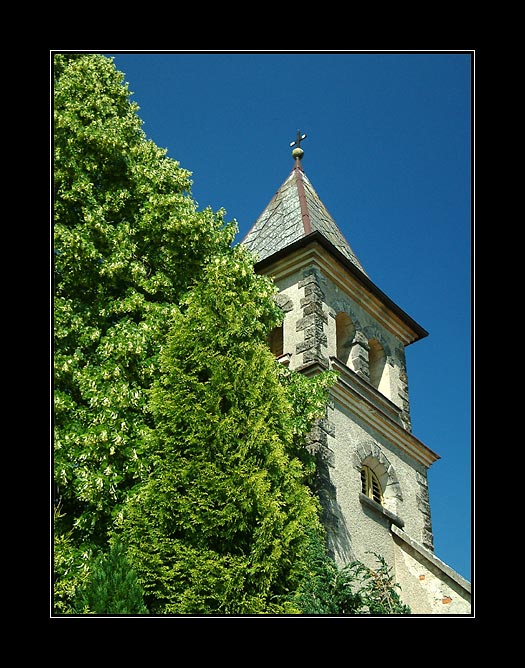 Za rozkvetlou lípou