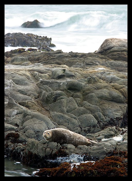 Nahy tulen pod podnikovou sprchou<br>(konecne se mi podarilo ukecat nekoho aby mi pozoval jako akt !!! )