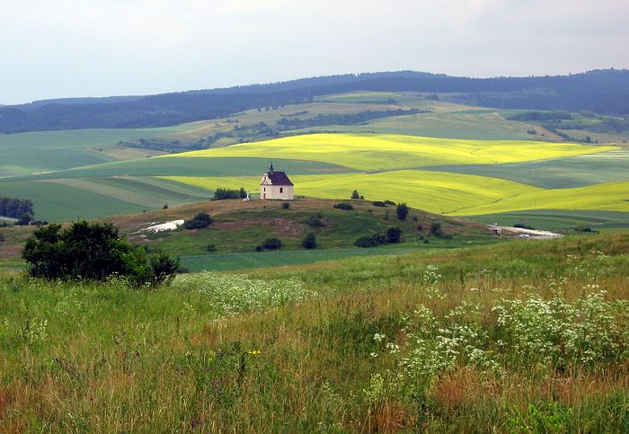 Spiš - Sivá brada