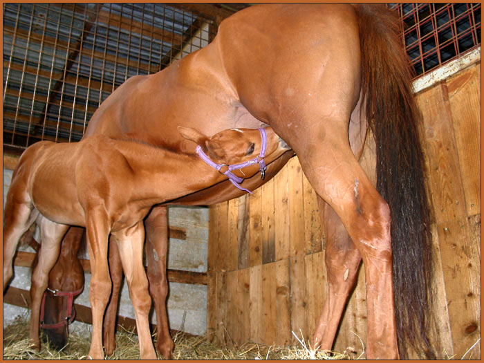 Postoj chvíľa, si krásna