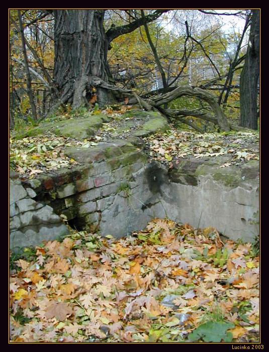 zátiší z velkoměsta