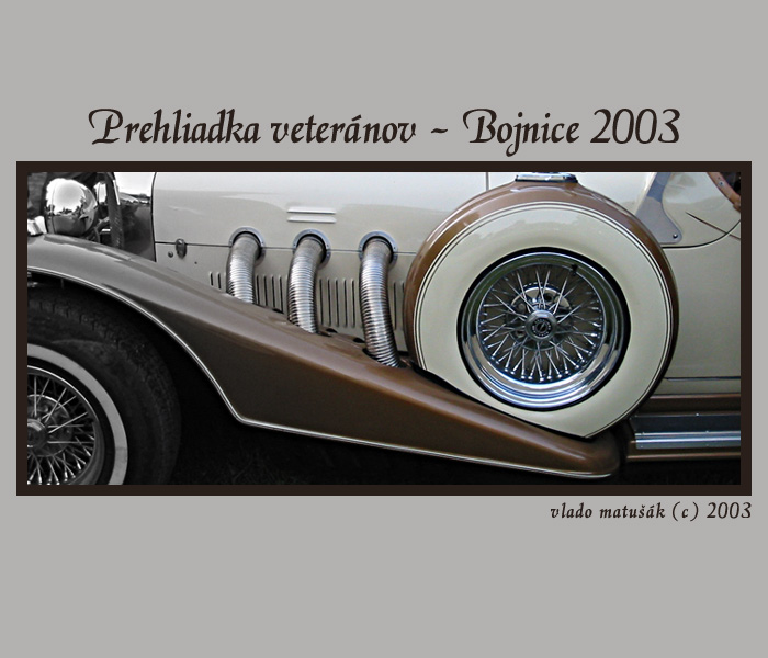 <font color=green>...<b> prehliadka veteránov </b>...</font>